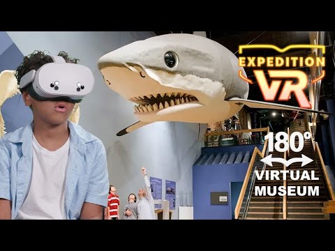 screenshot of youtube video titled Journey Through Past and Future 180° | Expedition VR