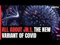 All You Need To Know About The New COVID Variant JN.1