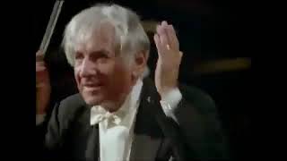 Beethoven symphony no 7 / leonard bernstein