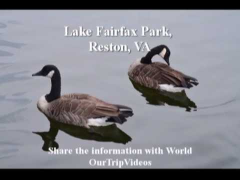 Pictures of Lake Fairfax Park, Reston, VA, US
