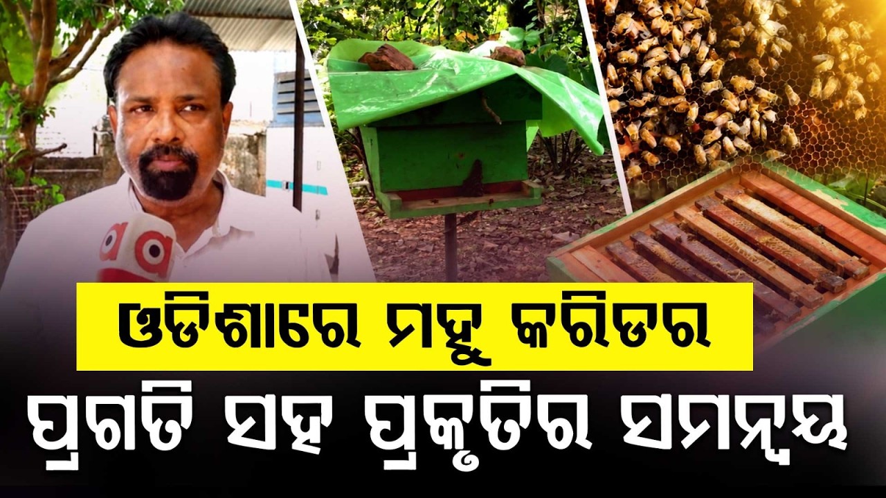 Odisha’s First ‘Bee Corridor’: NHAI Launches Innovative Green Project Along National Highways