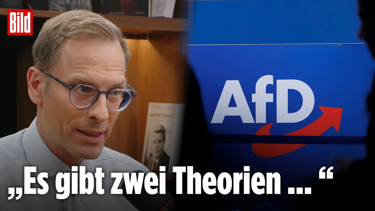 Neues AfD-Umfrage-Hoch: Wie lange hält die Brandmauer nach rechts noch? | Vertraulich