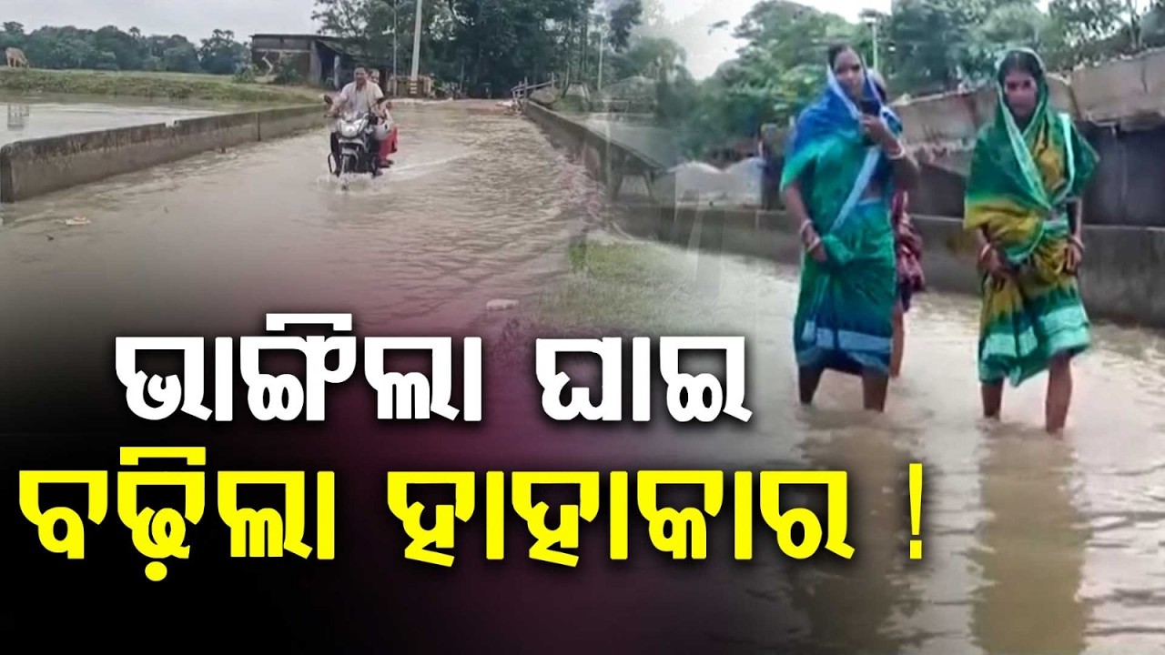 Odisha Flood Crisis: River Breaches In Bhadrak & Jajpur, Heavy Rain Alert On Aug 13 | Argus News