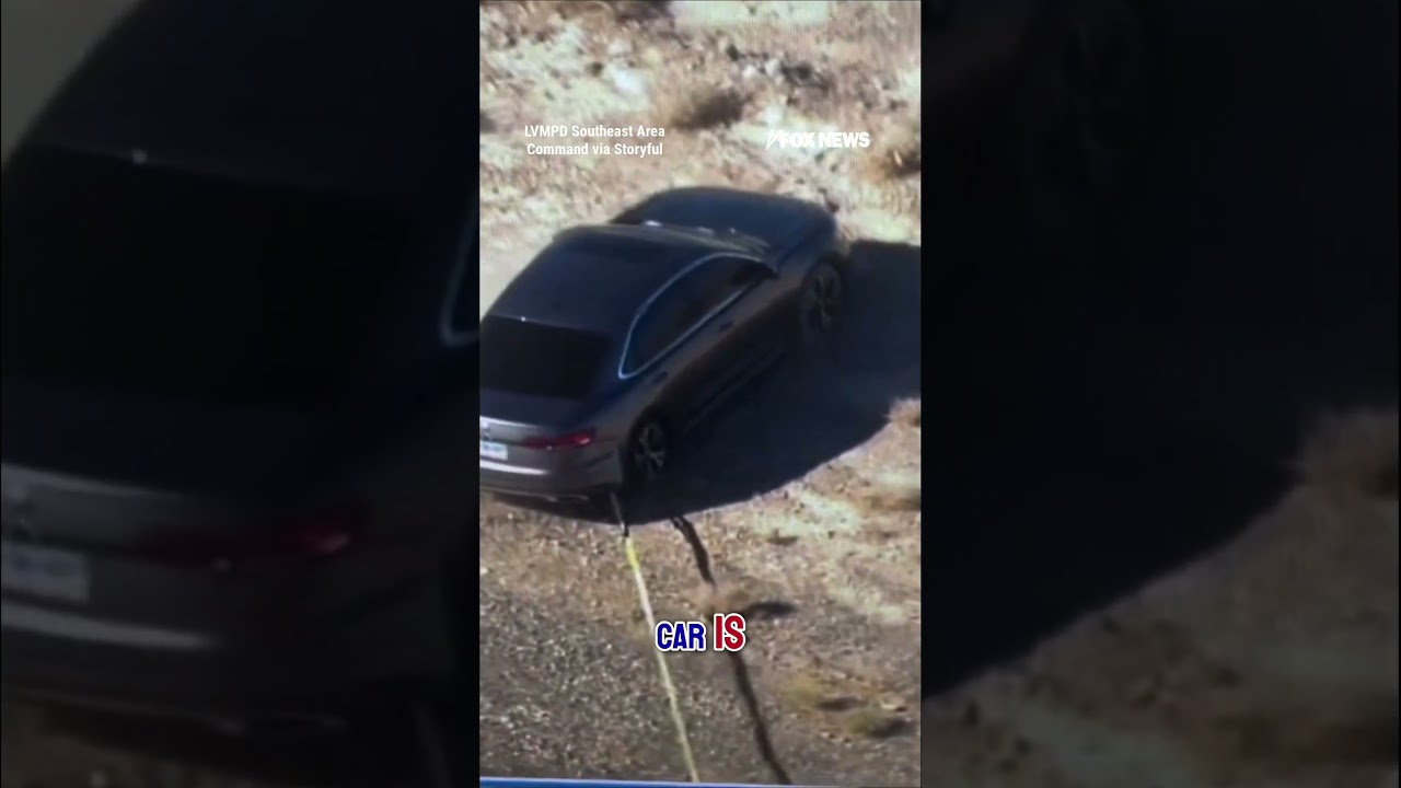 WATCH: Grapple gun takedown ends high-speed chase #shorts #fox #media #breakingnews #us #usa #new