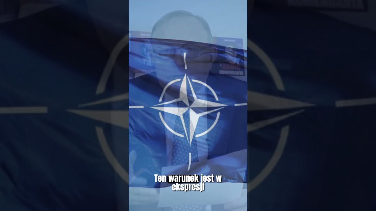 Państwa europejskie zostaną wciągnięte do wojny? #polityka #państwo #polska #NATO
