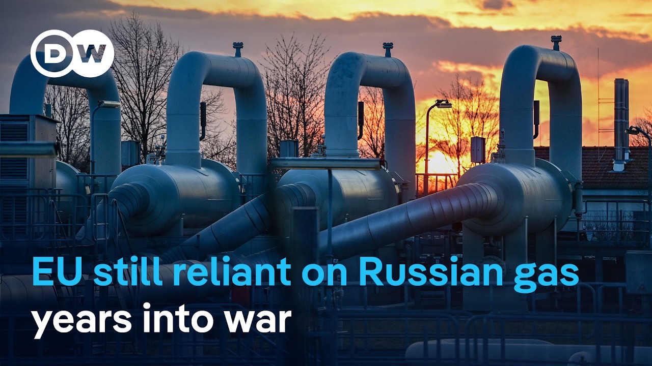Where will the EU get its gas and LNG when it stops relying on Russian supplies? | DW News