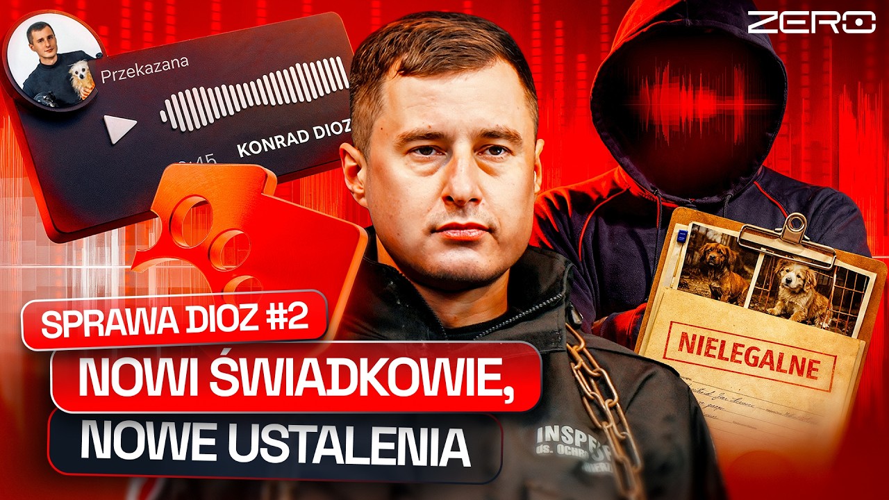 DIOZ: NIELEGALNE OPERACJE, ADOPCJE PSÓW, KOLEJNI ŚWIADKOWIE