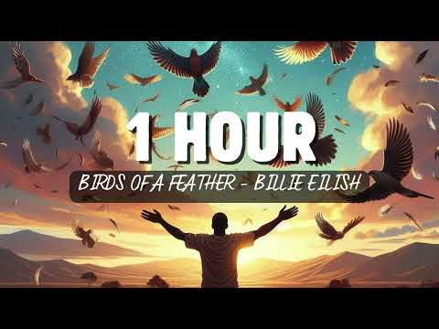 1 Hour Birds Of A Feather