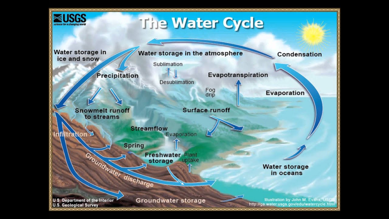 круговорот воды в море