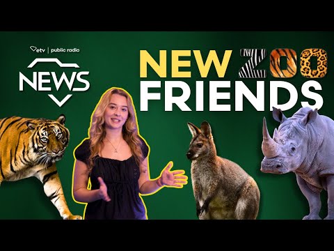 screenshot of youtube video titled Riverbanks Zoo &amp; Garden's New Additions