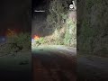 Trees topple onto highway during rockslide