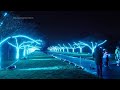Spectacular festive light show twinkles at Londons Kew Gardens