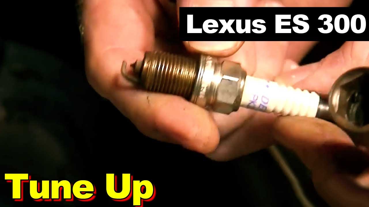 toyota fuel injector plugs #7