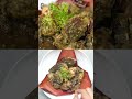 Recreate Chicken with Banana Flower and experience the true essence of #NorthEastKaSwaad. 👌  - 00:57 min - News - Video