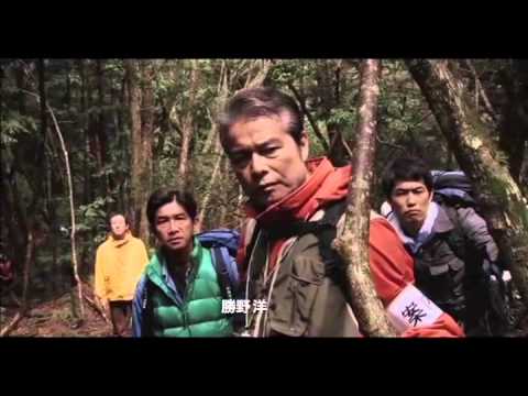 Aokigahara'