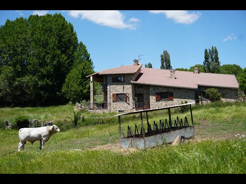 Property video