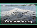 Crabs on cocaine: raw sewage threatens UK marine life | REUTERS