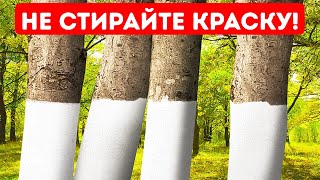 Почему некоторые деревья окрашены в белый цвет + 11 неочевидных причин