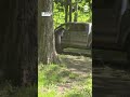 Vermont man scares off bear opening truck door - 00:44 min - News - Video