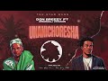 Don Breezy Feat . Msomali Vitamin -Unanichoresha ( Official Music Audio )
