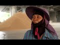 We wont survive: Thai rice farmers brace for tariff impact | REUTERS  - 03:20 min - News - Video