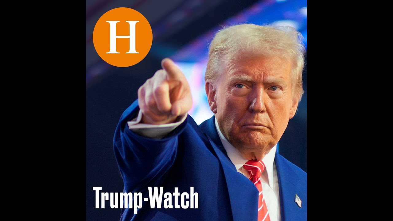 Was, wenn der Supreme Court Trumps Zölle kippt? / Welche Lehren die Demokraten aus ihren Wahlerfo...