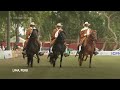 Dozens of riders take part in celebration of renowned Peruvian Steady Gait horse breed  - 00:52 min - News - Video