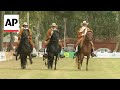 Dozens of riders take part in celebration of renowned Peruvian Steady Gait horse breed
