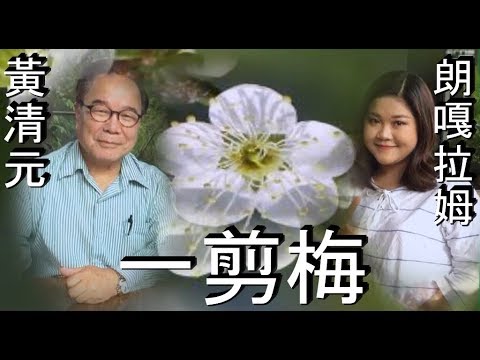 一剪梅: 黃清元 🆚 朗嘎拉姆 (Langgalamu) 小鄧麗君