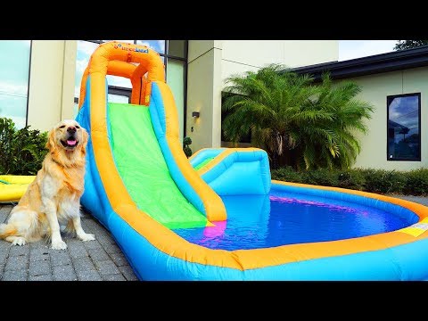 DOG GETS PERSONAL WATER PARK FOR THIRD BIRTHDAY