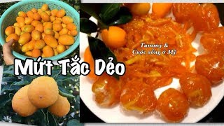 Cách làm Mứt Tắc Dẻo (Mứt Quất - Mứt Hạnh) - Cuộc sống ở Mỹ