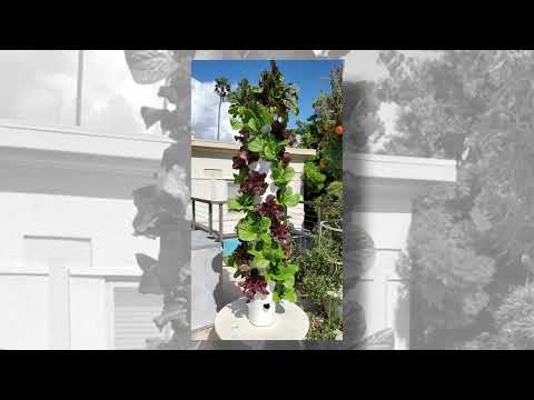Vídeo hecho por el alojamiento