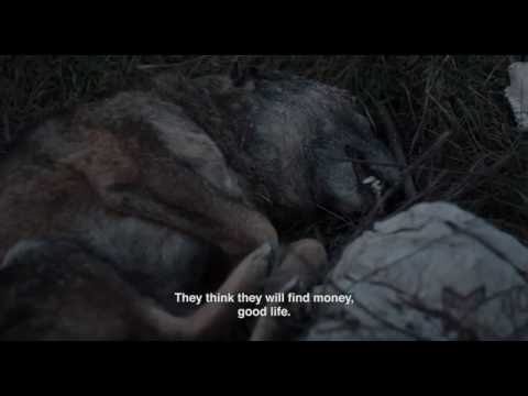 Lost Exile'