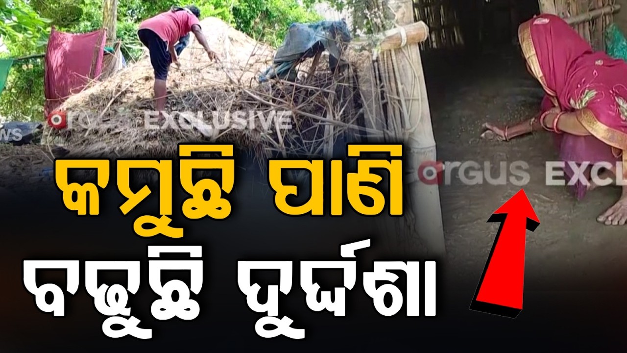 କମୁଛି ପାଣି, ବଢୁଛି ଦୁର୍ଦ୍ଦଶା | Jajpur Flood Update | Odisha Floods | Baitarani River | Argus News