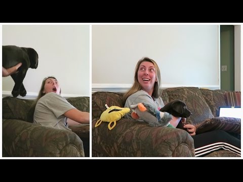 BEST PUPPY SURPRISE EVER!! πΆπ