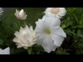 Sony DSC-WX9 Video Sample