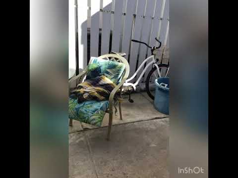 Video van accommodatie