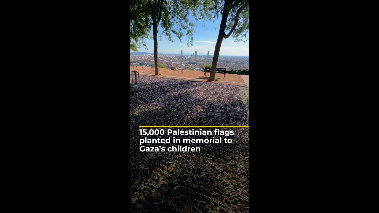 15,000 Palestinian flags planted in memorial to Gaza’s children | AJ #shorts