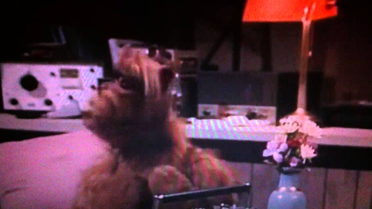 Alf Null Problemo Alf Null Problemo