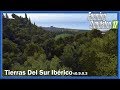 Iberian Southland v0.9.0.3