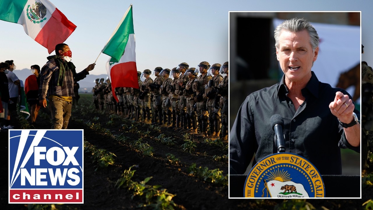 REVEALED: California pot farm owner's ties to Newsom