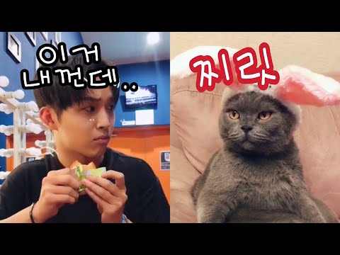 비투비 틱톡 영상 모음