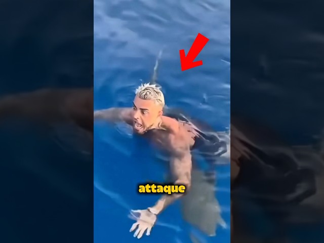 Ne fais surtout pas ça... si un requin t'attaque en mer!😱⚠️#shorts