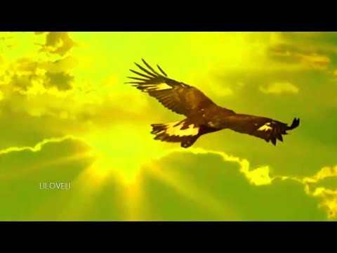 Leo Rojas - El Condor Pasa