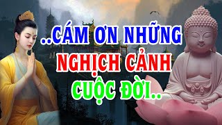 Cám Ơn Những Nghịch Cảnh Cuộc Đời - Vì Nó Đã Giúp Ta Có Thêm Bản Lĩnh Và Mạnh Mẽ -Suy Ngẫm Cuộc Sống