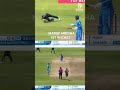 Similar dismissals, similar celebrations 👀 🔥 #BANvIND #U19WorldCup #Cricket  - 00:24 min - News - Video