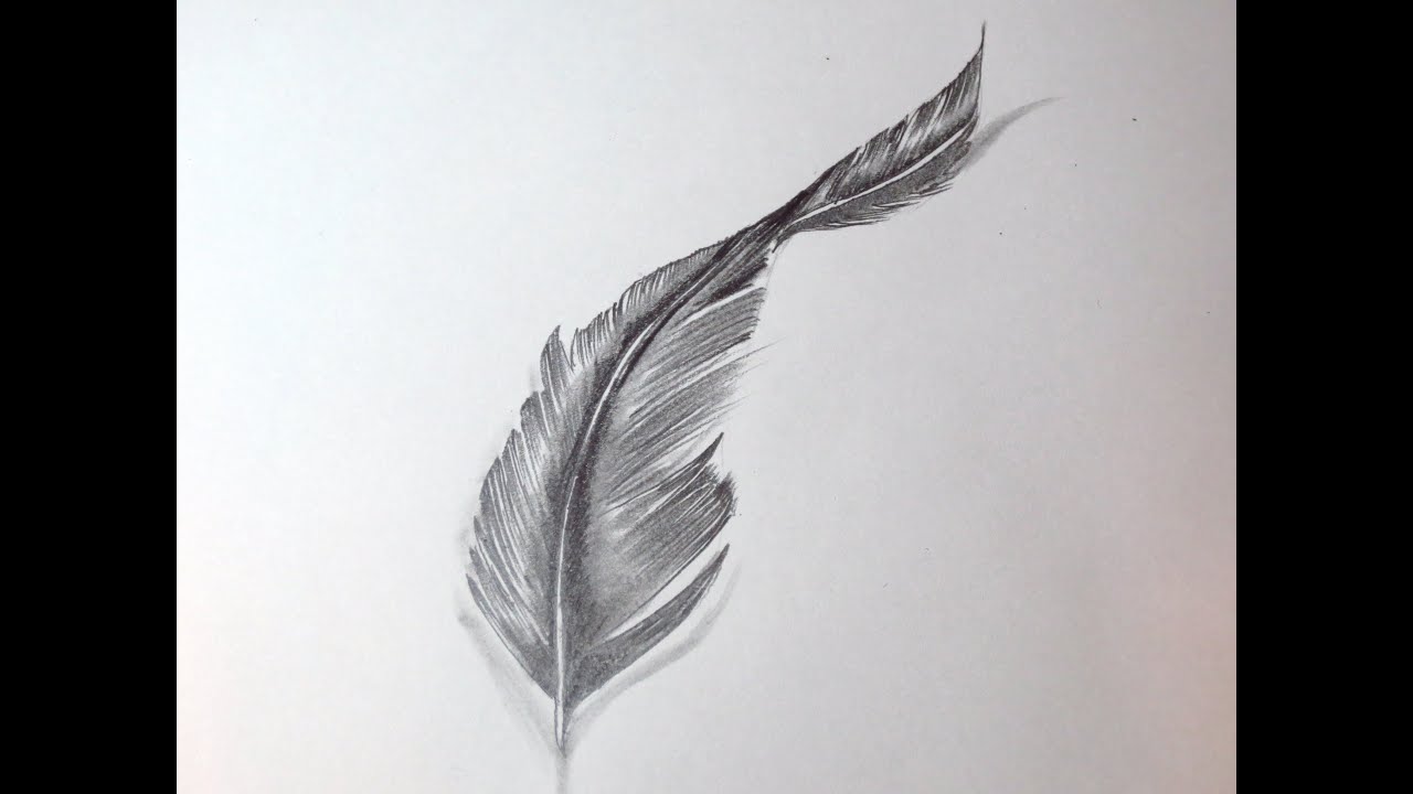 How To Draw A Feather YouTube