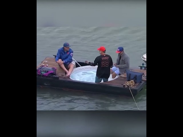 Hot tub baseball boat in the Bay for Mets-Giants action 🤩
