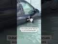 Dubai police officer rescues a cat from floodwaters  - 00:25 min - News - Video