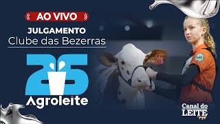 Agroleite 2025 - Julgamento do Clube de Bezerras